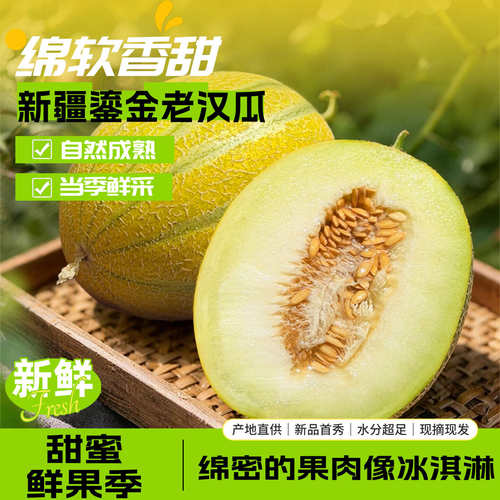 新疆发货JD/顺丰快递