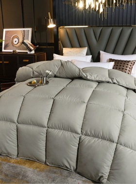 winter warm quilts duvet insert blanket heavy down comforter