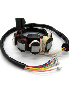 Motorcycle New 12V Copper 8 Poles Magneto Stator C  CG125 se