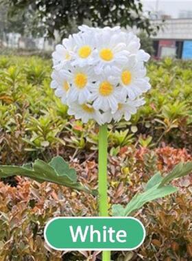 Solar Lights Outdoor Garden Decor Solar Garden Lights