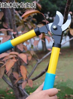 New Fruit tree pruning shears gardening ef适用于t scissors f