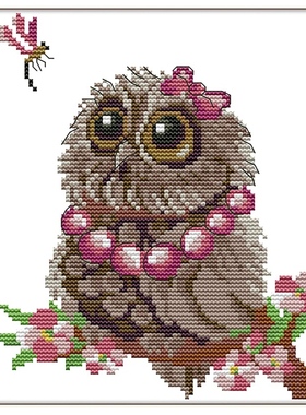 Cross Stitch Kits Stamped Patterns Embroidery Starter Kits