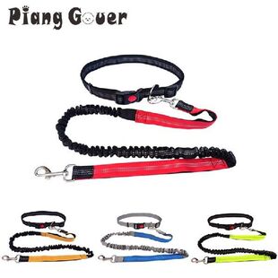 Pet Reflective Waist Belt Leashes Dog Rope Leash Elastic