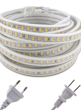 220V LED Strip Lights,Waterproof IP67 5730 120LEDS/M 1M-20M