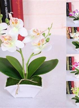 Artificial Butterfly Orchid Simulation Flower Set with Real