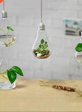 Hanging Lamp Glass Vase Hydroponic Vases Fashion Home Decor