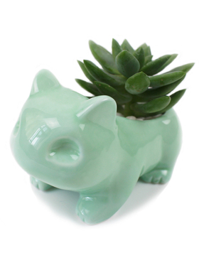 Kawaii Ceramic Flowerpot Succulent Planter Cute Green Plants