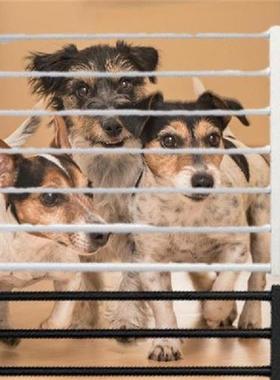 Metal Pet Gates 22-39.37 Inch Extra Wide Pressure Mounted