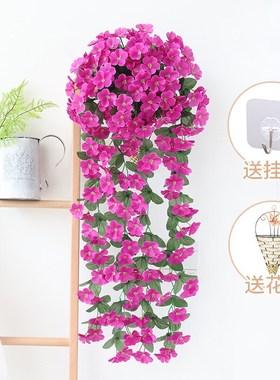Simulation violet flowers cane vines bracketplant wall