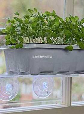 With Sucker Displaying Stand Acrylic Shelves Hotel Toy Rock