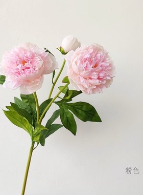 High quality fine texture simulation peony three head long