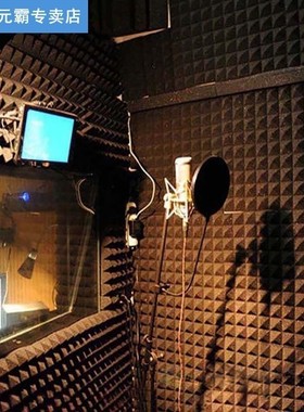 12PCS Studio Room Acoustic Soundproof Foam Sound Absorption