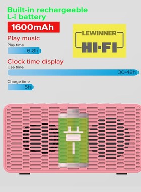 Lewinner BT506F Bluetooth Speaker Super Bass Wireless Stereo
