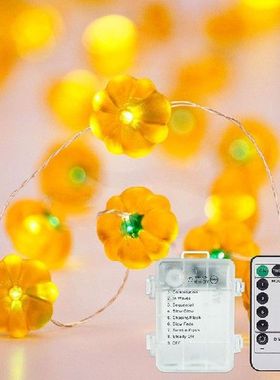 Halloween Pumpkin Shape Light String Remote Control 3D