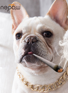 Benepaw Fashion Strong Metal Dog Collar Chain Heavy Duty