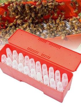 Beekeeping Supplies Queen Bees Shipping Box Queen Cages