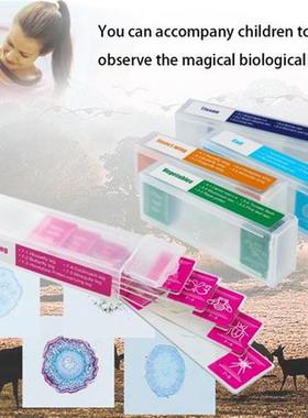 5 Piece of Colorful Microscope Specimens Biological Specime