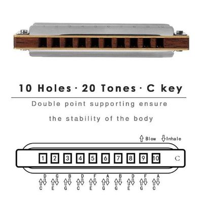 Harmonica Children Educational Tool Musical Instrument for