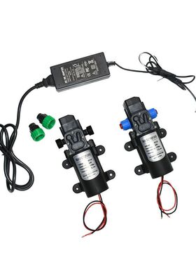 12volt high pressure water pump 60w 80w 100w Micro car wash