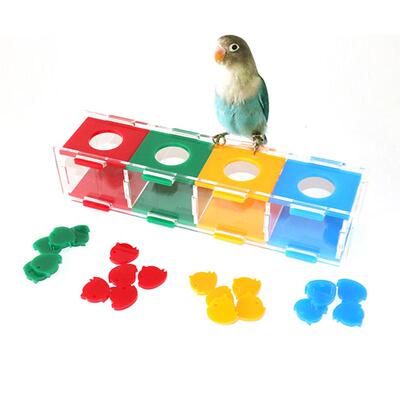 Parrot Toy Color Separation Coin Box Intelligence Training
