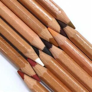 Professional 12Pcs Soft Pastel Pencil Set Wood Skin Color Pa