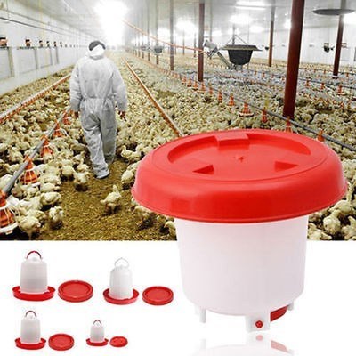 Robust Plastic Chicken Quail Poultry Hen Drinker Food Feede