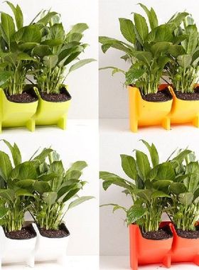 2 Pockets Self Watering Flower Pot Stackable Vertical
