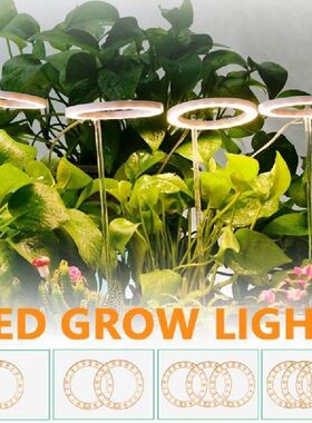 LED Grow Light Full Spectrum Phyto Grow Lamp USB Phytolamp