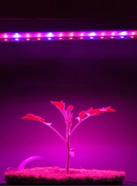 5pcs/set 30W LED Grow Lights T5 Tube LED Phyto Lamps Full Sp
