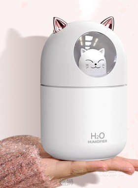 USB Humidifier 300ml Cute Pet Ultrasonic Cool Mist Aroma Air