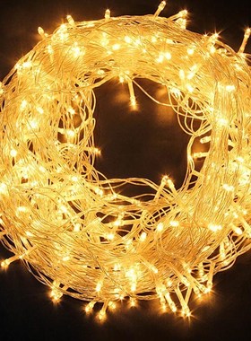 220V LED Fairy Light Christmas Outdoor String Lights Garland
