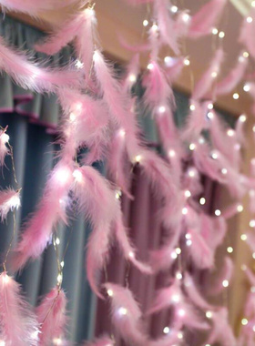 led copper wire curtain light ins decoration live broadcas