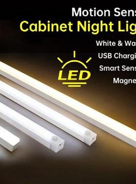 Wireless LED Night Light Motion Sensor Light Closet Night