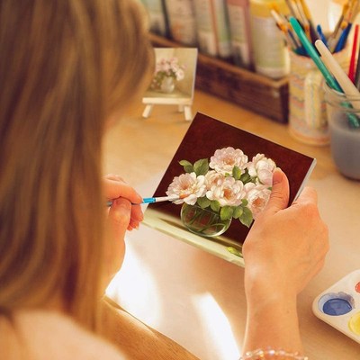 10 Pack Canvas and Easel Set Painting Craft Drawing Art Deco