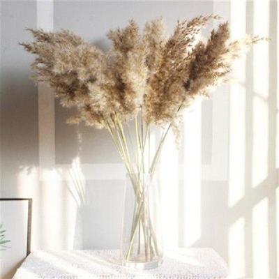 10/20/30/40pcs Dried Flower Natural Pampas Grass Reed