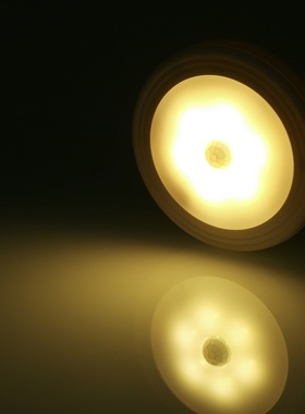 newnew Mini PIR Motion Sensor Nightlight USB Rechargeable 6
