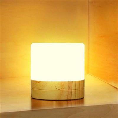 Touch Control Atmosphere Night Light with Handle Camping