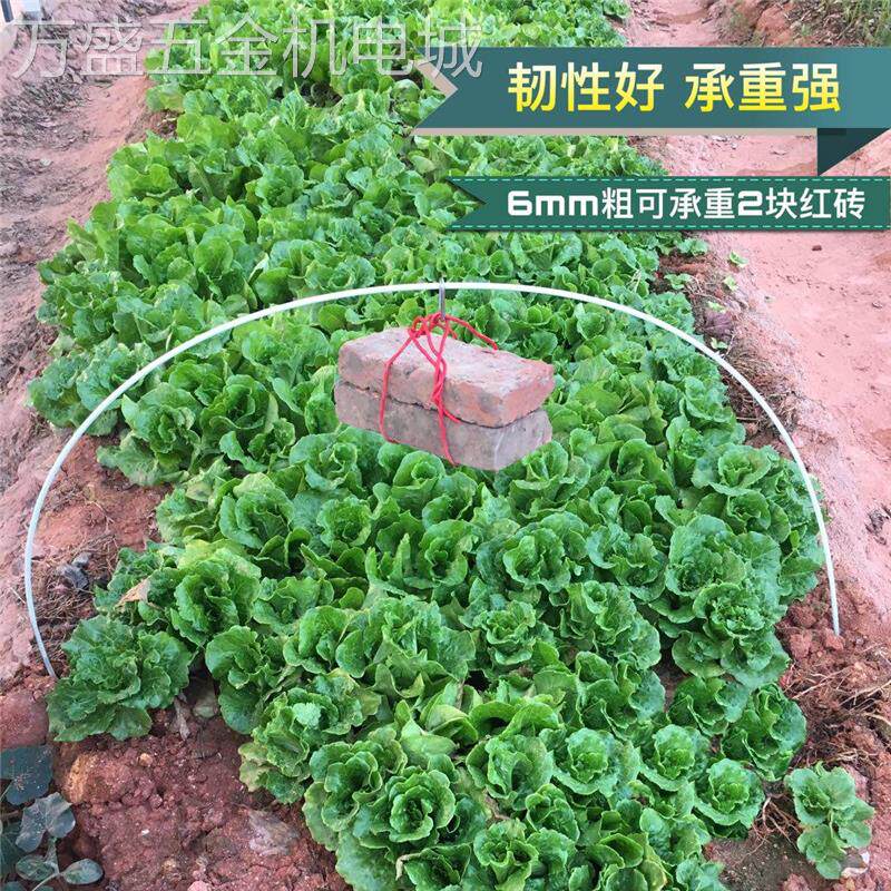 蔬菜保温小拱棚杆实心弹力玻璃纤维杆玻璃钢纤维棒玻纤杆塑料杆