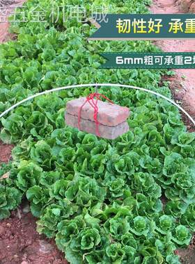 蔬菜保温小拱棚杆实心弹力玻璃纤维杆玻璃钢纤维棒玻纤杆塑料杆