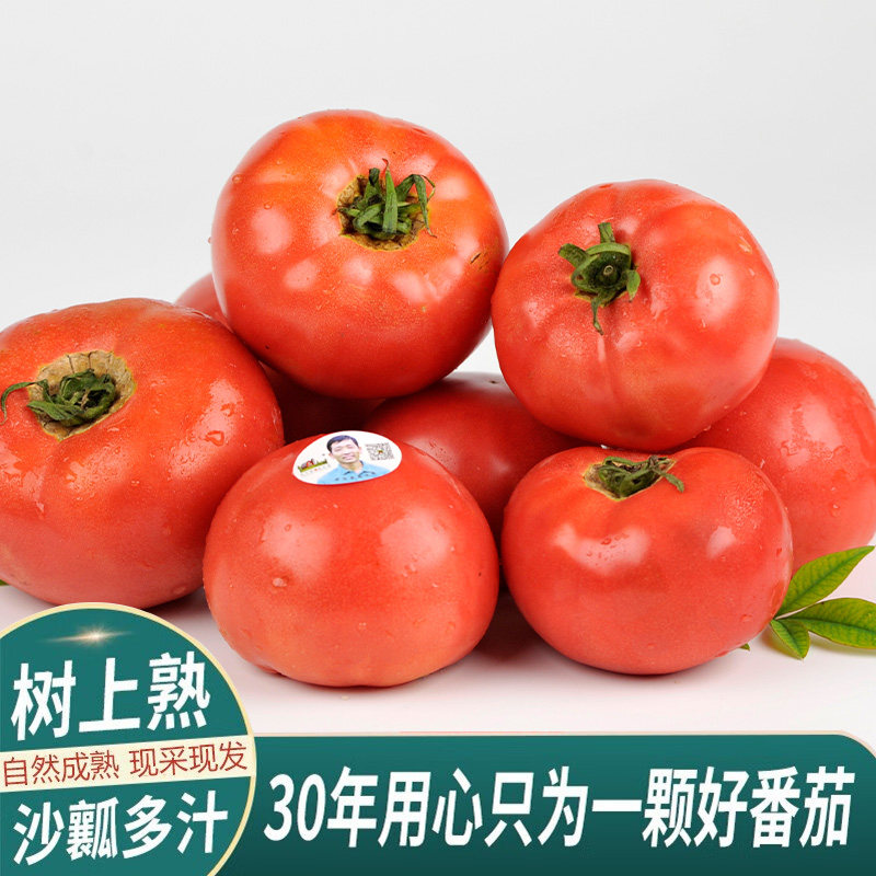 老王家老味道番茄农家老品种西红柿新鲜自然熟无硬芯沙瓤可生食