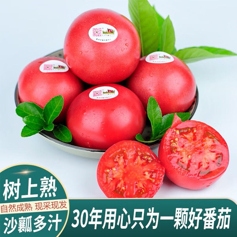 老王家老味道番茄自然熟现摘新鲜蔬果老品种西红柿12只精品礼盒装,水产肉类/新鲜蔬果/熟食,番茄,淘宝优惠券,粉丝福利购,淘宝优惠卷