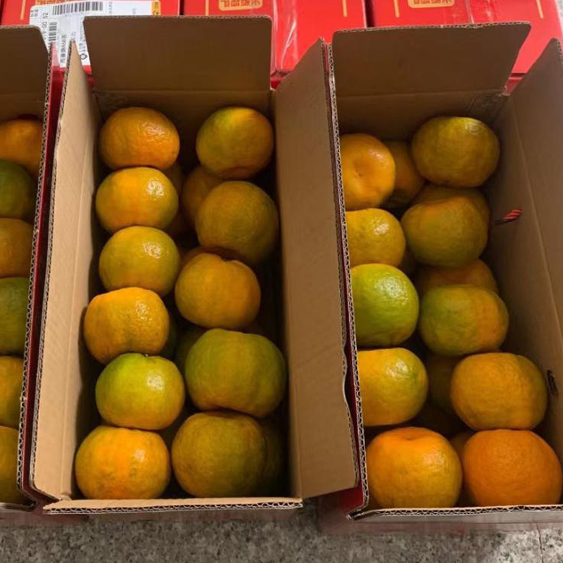 广西武鸣沃柑新鲜水果当季时令产地现摘现发桔子皮薄多汁5斤
