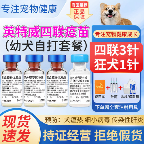 英特威狗宠物成犬二四联狂犬疫苗
