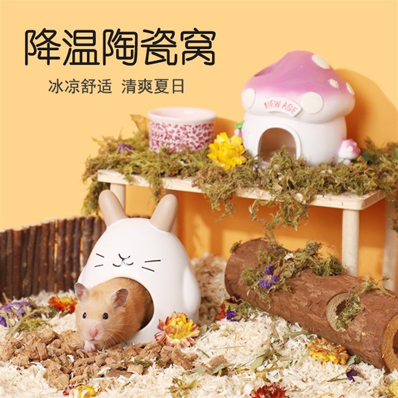 快速发货仓鼠陶瓷窝躲避房子x夏天金丝熊降温用品大全侏儒豚鼠玩,宠物/宠物食品及用品,玩具/造景装饰,淘宝优惠券,粉丝福利购,淘宝优惠卷