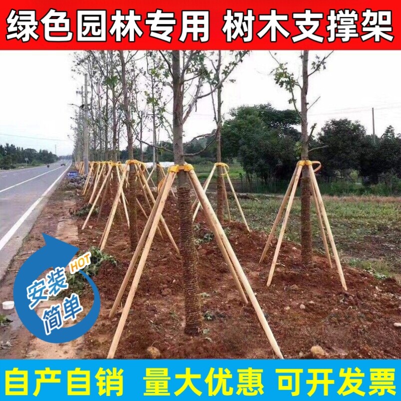 树木支撑固定器园林绿化杉木松木杨木棍防风工程支撑架杆稳定支架