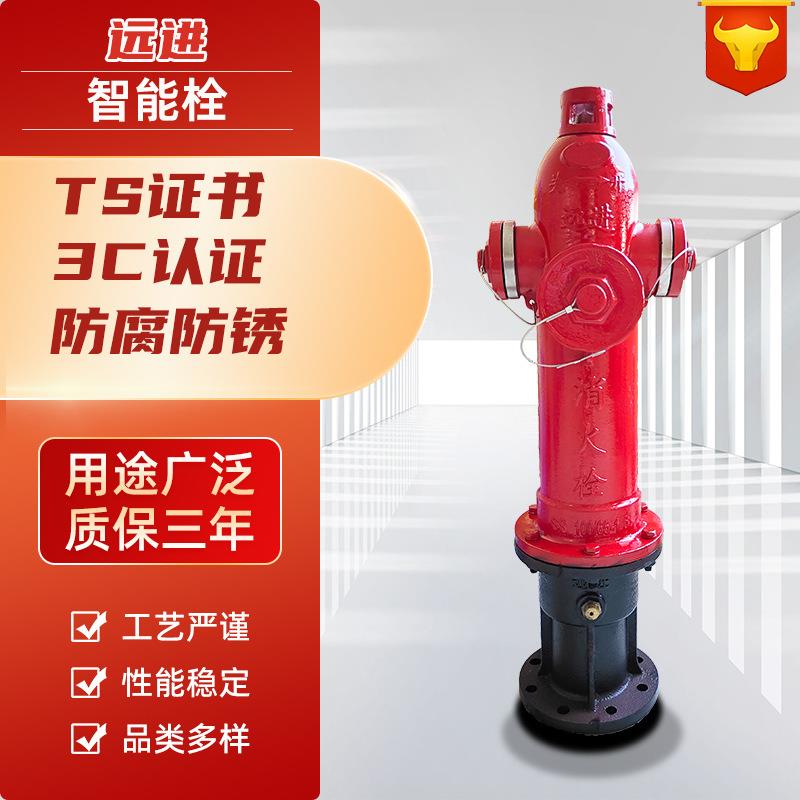 智能栓普通型 SS100/65-1.6ZN 防水IP68 通信4G/NB 质保三年