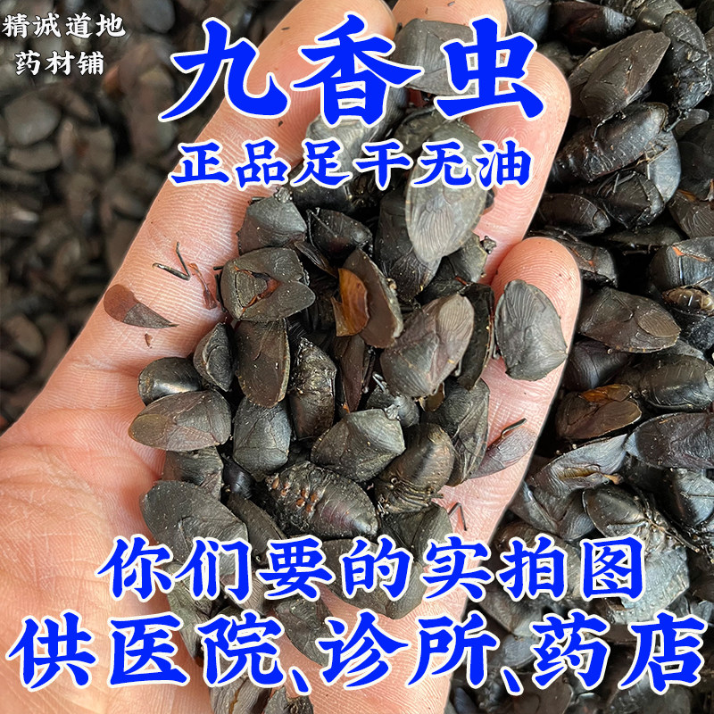 禹州中药材批 发九香虫正品 无油 云南野生大九香虫丑壳子打屁虫