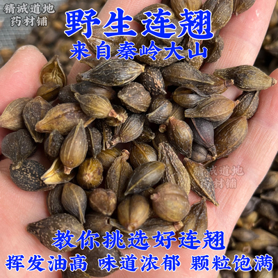秦岭野生连翘中药材正品