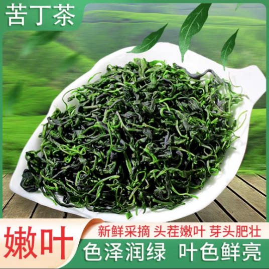 鲜茶小叶苦丁茶 青山绿水罐装嫩芽新茶叶小叶苦丁茶