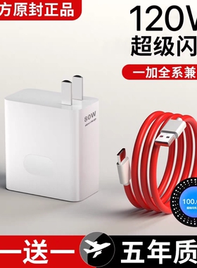 120W超级闪充头适用一加10Pro充电器ace6/7/8t/9手机oneplus150充电80w快充30w数据线插头oppo通用原装正品